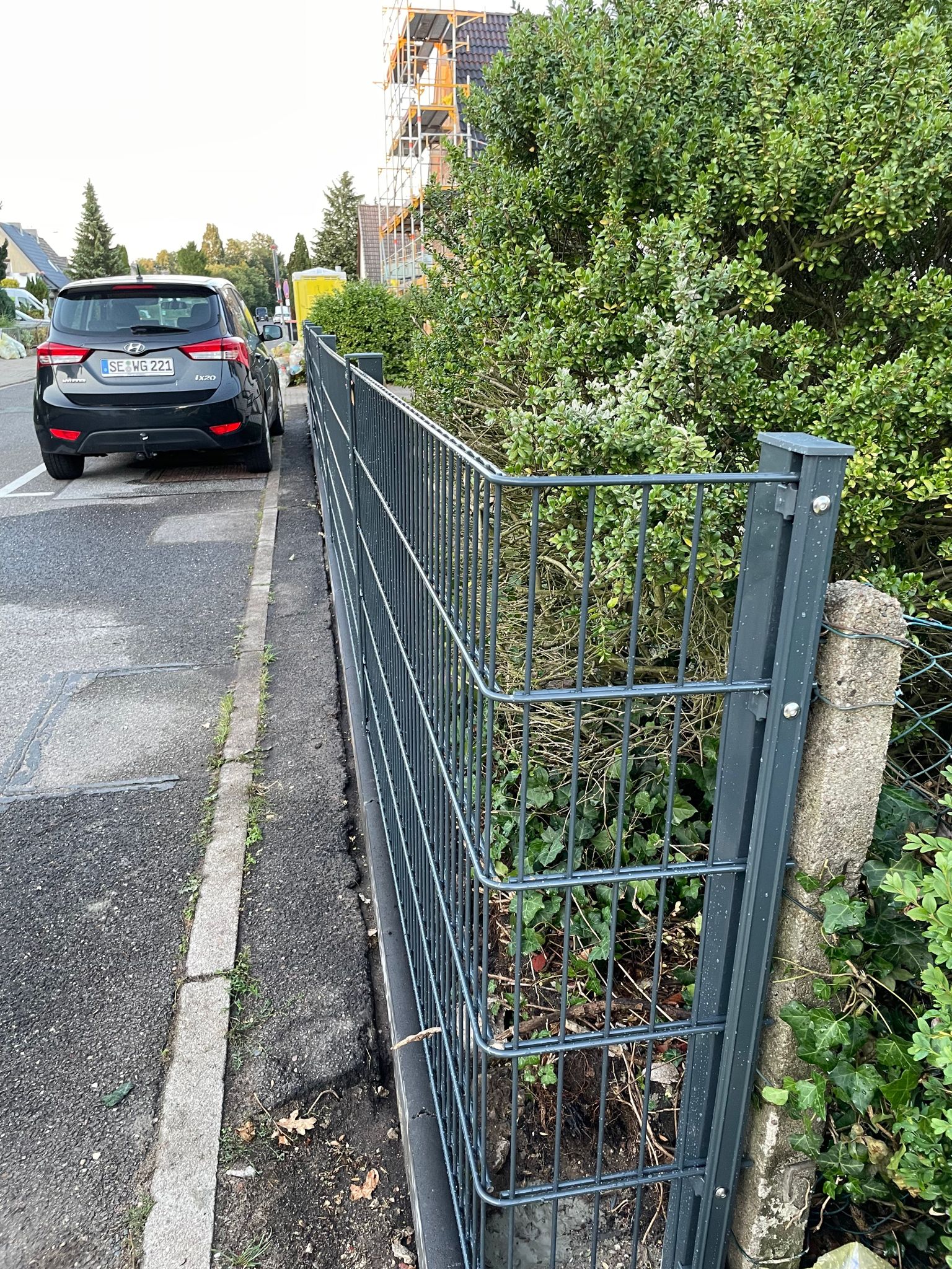 (Die Bildrechte liegen bei dem Verfasser der Mitteilung.) (Die Bildrechte liegen bei dem Verfasser der Mitteilung.)