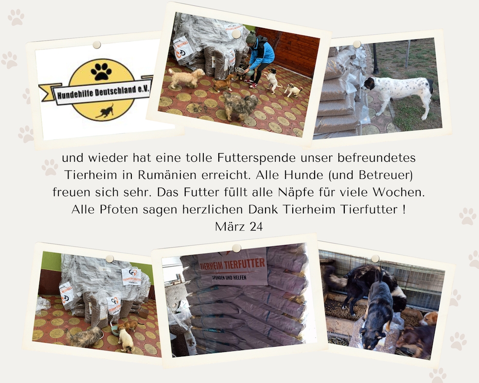 Hundehilfe Deutschland e.V. (Die Bildrechte liegen bei dem Verfasser der Mitteilung.) Hundehilfe Deutschland e.V. (Die Bildrechte liegen bei dem Verfasser der Mitteilung.)