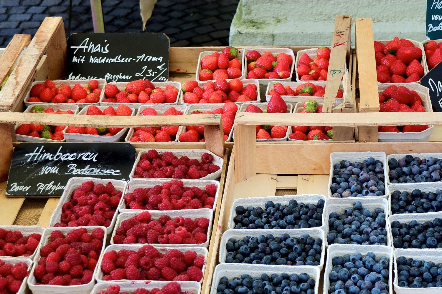 Beerenobstschalen von Pack4Food24 (Die Bildrechte liegen bei dem Verfasser der Mitteilung.) Beerenobstschalen von Pack4Food24 (Die Bildrechte liegen bei dem Verfasser der Mitteilung.)