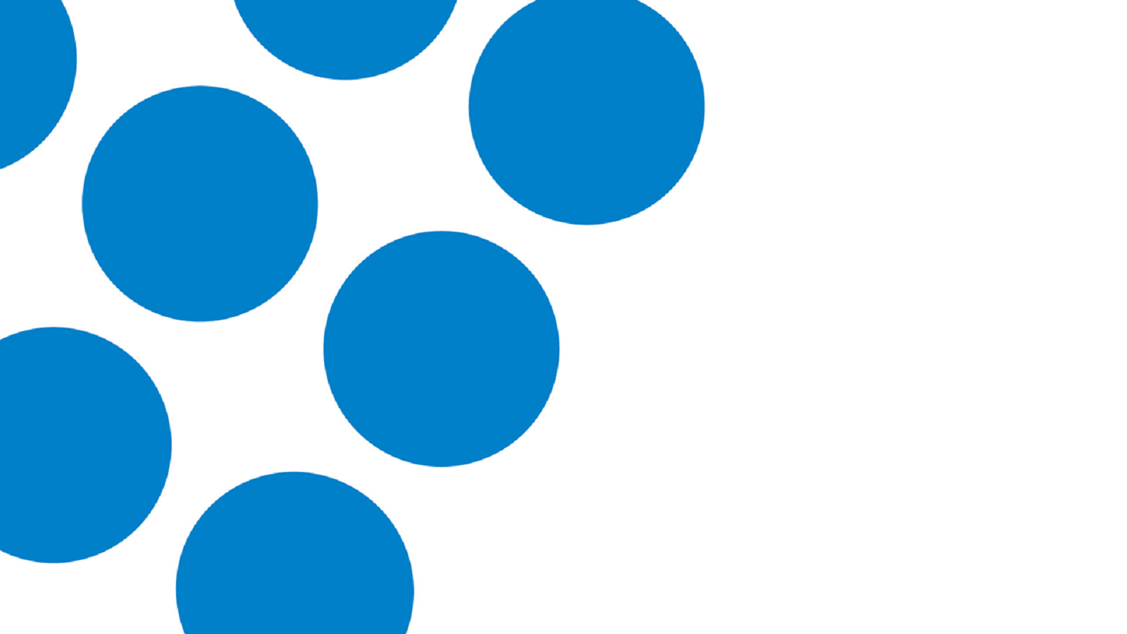 Die Schleswig-Holstein Netz AG Die Schleswig-Holstein Netz AG