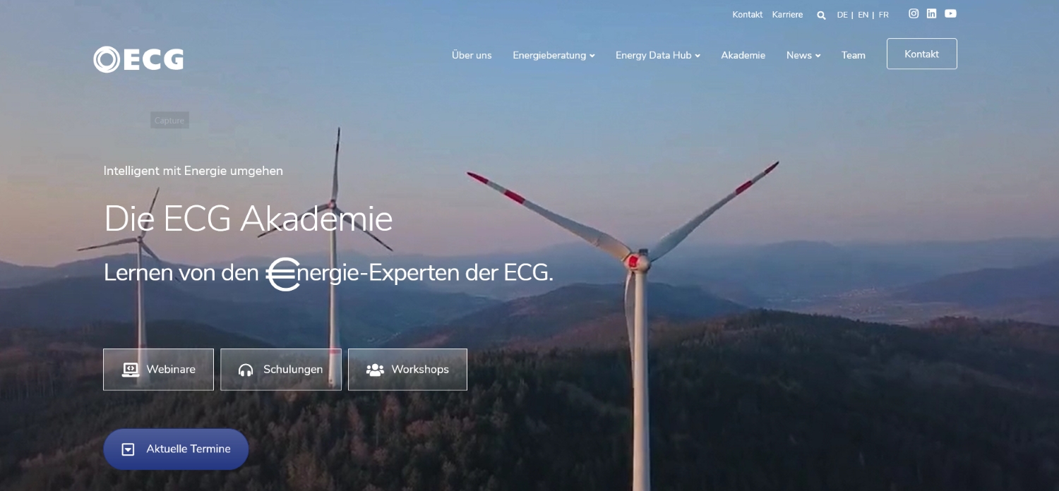 Website der ECG Akademie (Bildquelle: @ECG) Website der ECG Akademie (Bildquelle: @ECG)