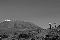 Shikamoo Porters am Kilimanjaro Shikamoo Porters am Kilimanjaro