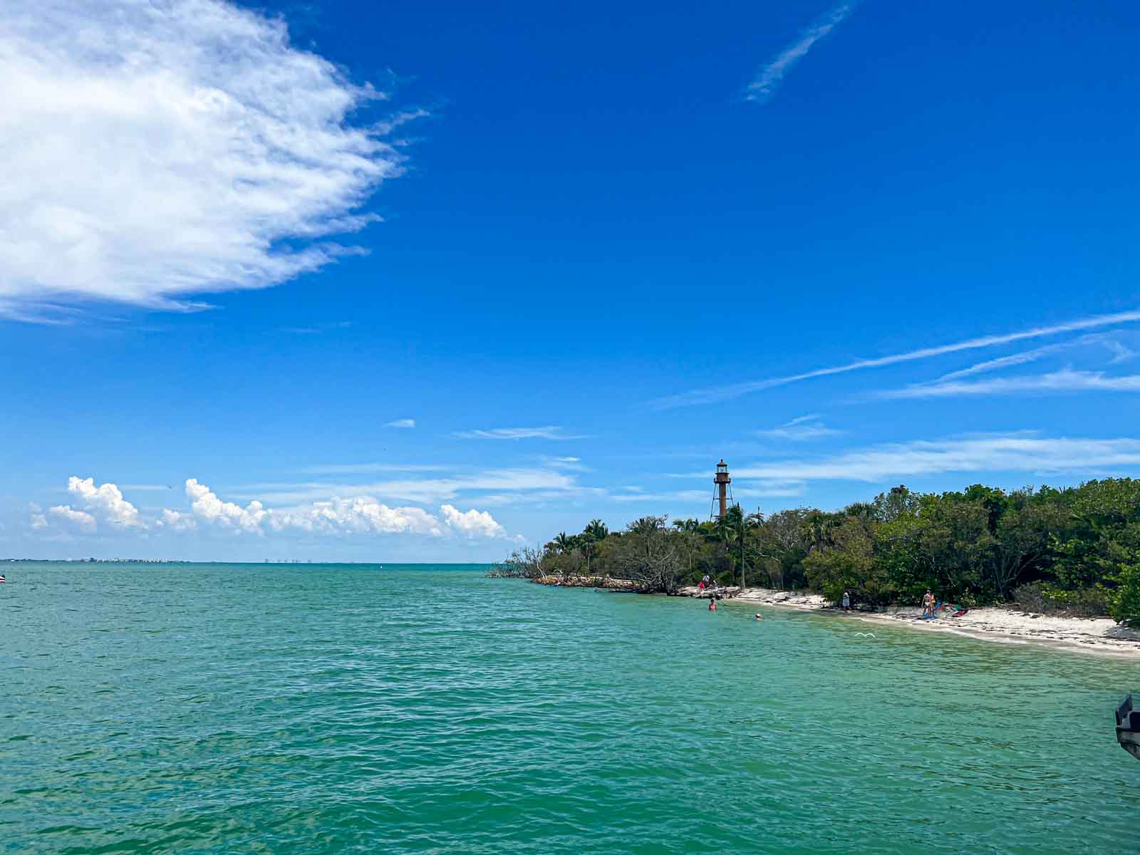 Florida (Die Bildrechte liegen bei dem Verfasser der Mitteilung.)