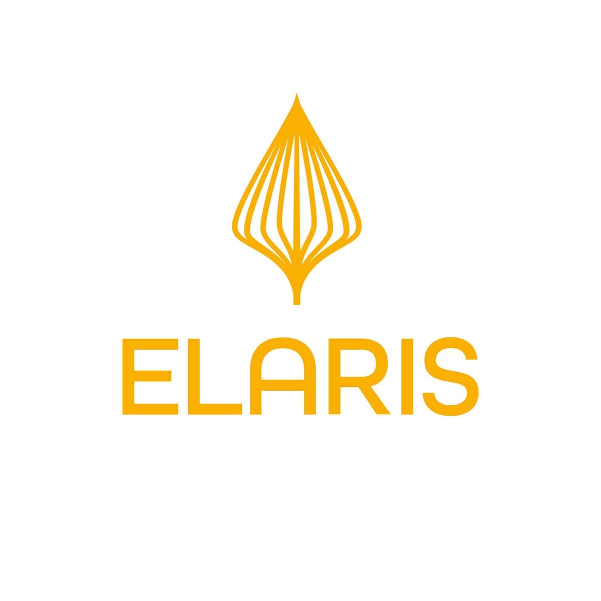 Mobilitätspartner ELARIS AG gratuliert den Frauen des 1. FC Union Berlin Mobilitätspartner ELARIS AG gratuliert den Frauen des 1. FC Union Berlin