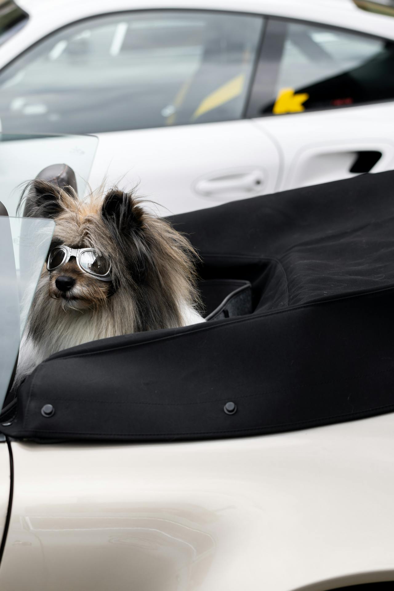 Porsche hat bereits porsche.my registriert (Bildquelle: Filipp Romanovski)