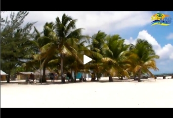 Mit einem Klick ins Paradies Mit einem Klick ins Paradies
