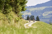 Bikeparadies (c) Simon Hausberger (Das Hohe Salve Sportresort)