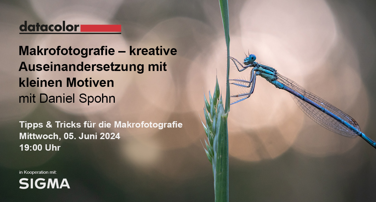Kostenloses Webinar zur Makrofotografie Kostenloses Webinar zur Makrofotografie