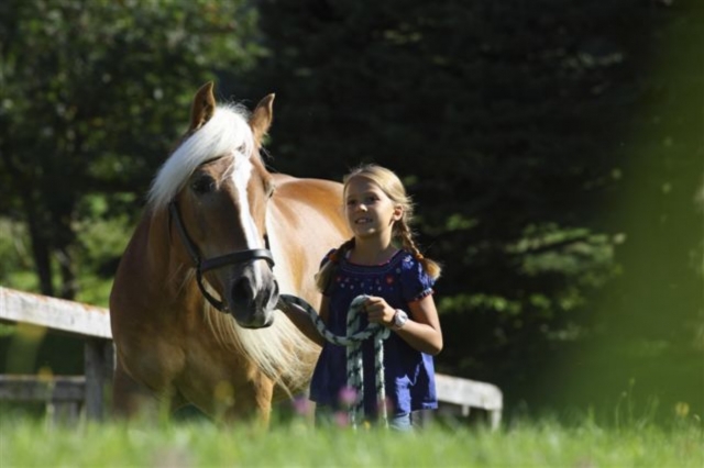 Ponys, Pferde und Familienurlaub Ponys, Pferde und Familienurlaub
