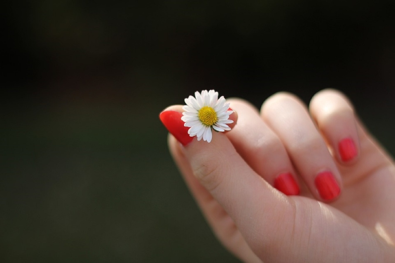 Arthrose, Probleme in Hand und Fingern Arthrose, Probleme in Hand und Fingern