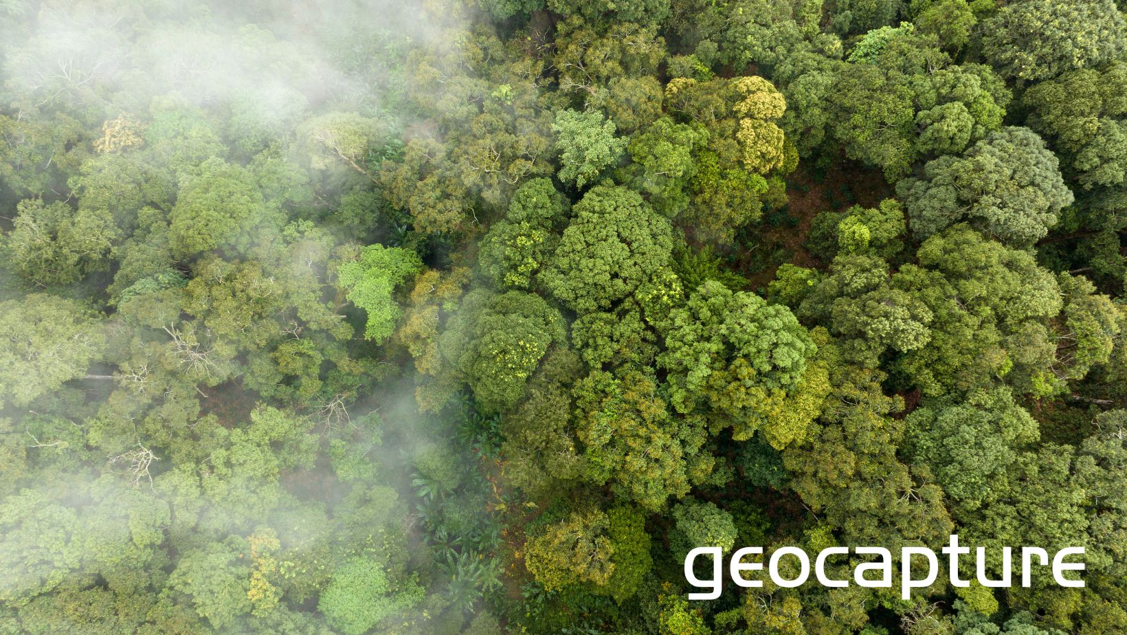 Mit CO2control von geoCapture haben Sie Ihre Emissionen im Blick. Mit CO2control von geoCapture haben Sie Ihre Emissionen im Blick.