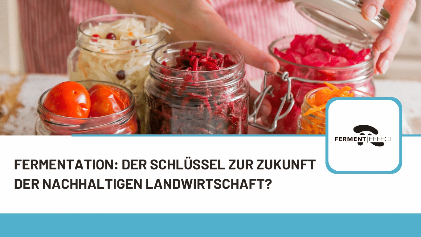 Ferment Effect - Fermentation als nachhaltige Landwirtschaft (Die Bildrechte liegen bei dem Verfasser der Mitteilung.)