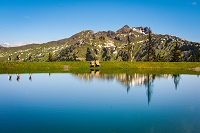 Spiegelsee in Dorfgastein mit Blick auf den Schuhflicker (c) Gasteinertal Tourismus GmbH (IMPULS HOT