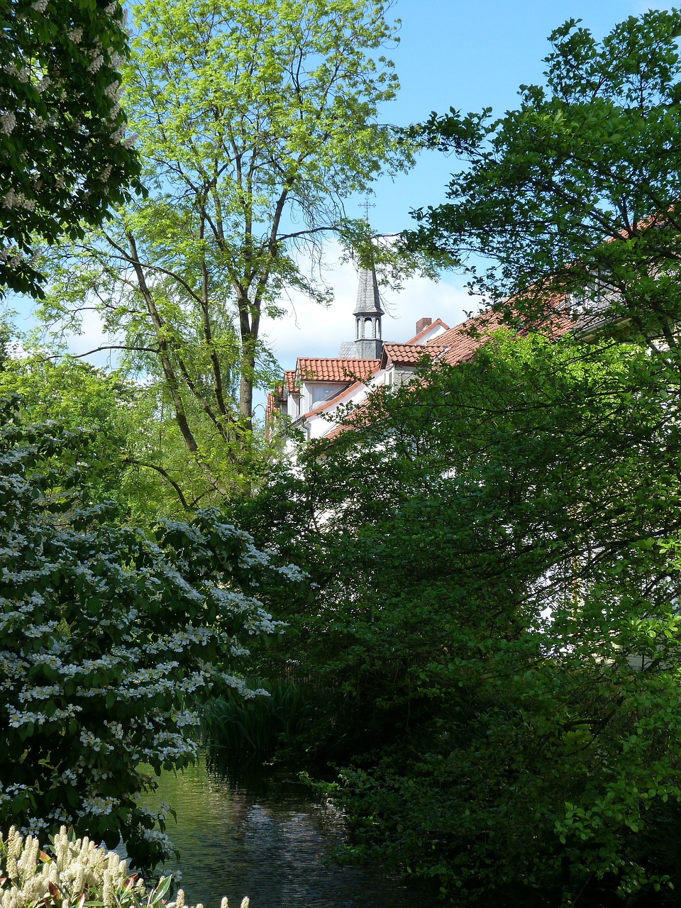 Dachreinigung Detmold Dachreinigung Detmold