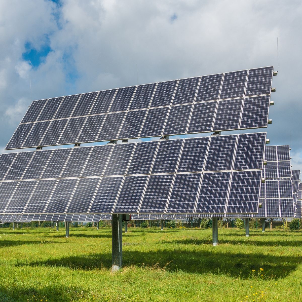 Frisch getankt auf der grünen Wiese: Sonnenenergie aus Frankreich (Bildrechte: Canva) Frisch getankt auf der grünen Wiese: Sonnenenergie aus Frankreich (Bildrechte: Canva)
