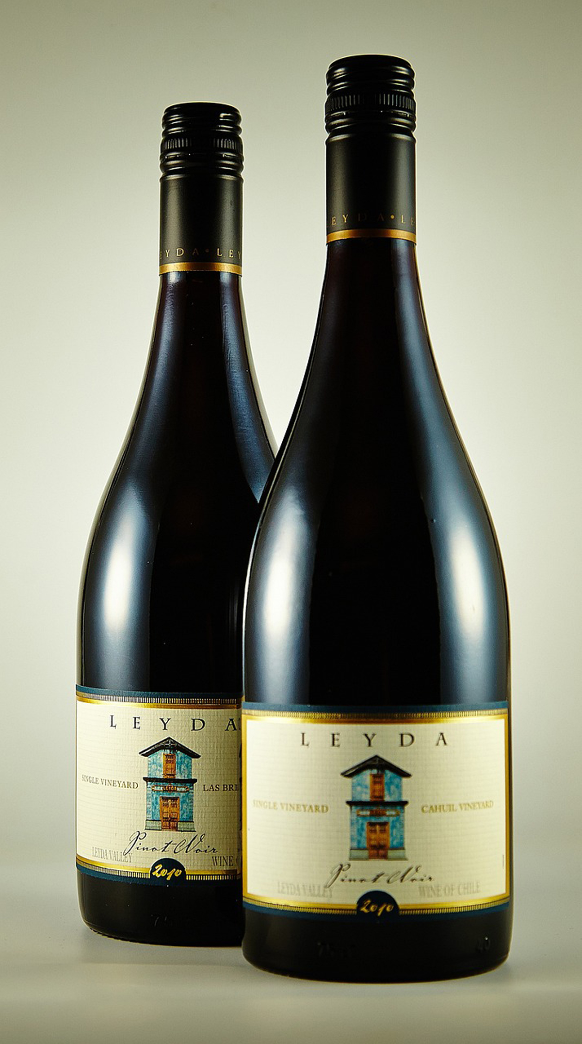 alter Wein gut gereift alter Wein gut gereift