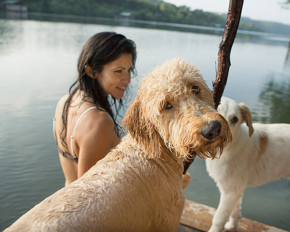 Naturalis Trockenbarf Hundefutter im Urlaub (Bildquelle: @ envato) Naturalis Trockenbarf Hundefutter im Urlaub (Bildquelle: @ envato)