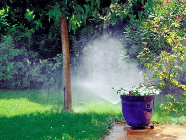 Automatische Gartenbewässerung versorgt die Pflanzen auch im Urlaub