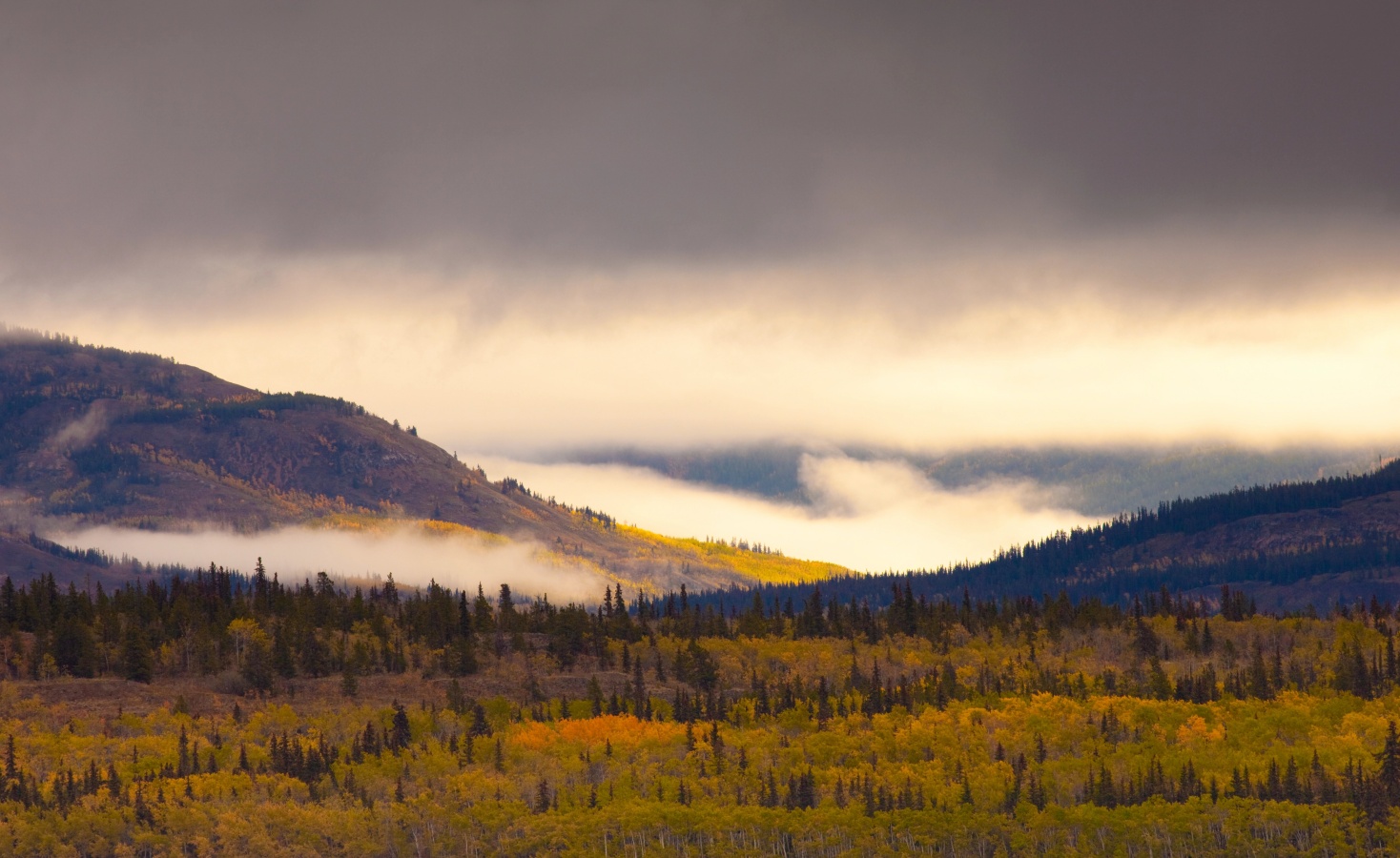 Landschaft im Yukon, wo Sitka arbeitet; Quelle Depositphotos
