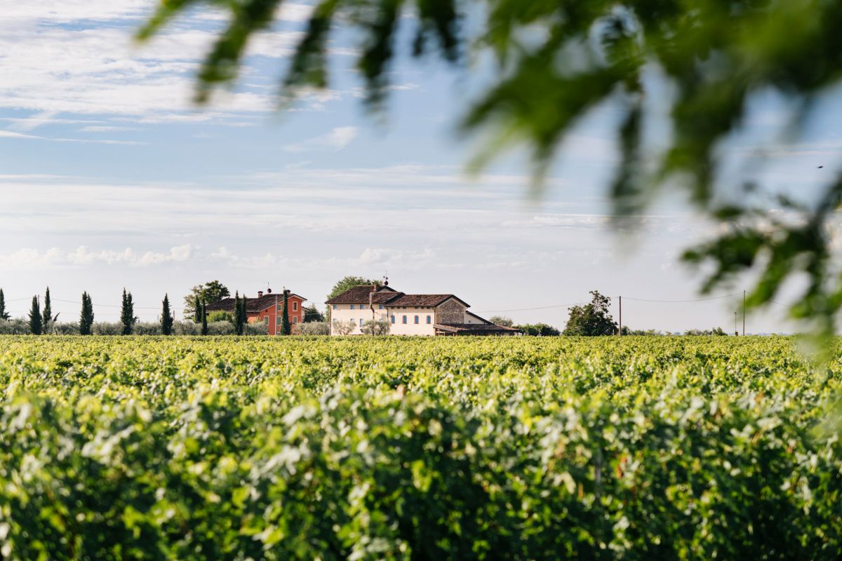 Cantina Buglioni, Weingut und Locanda im Valpolicella (© Cantina Buglioni)