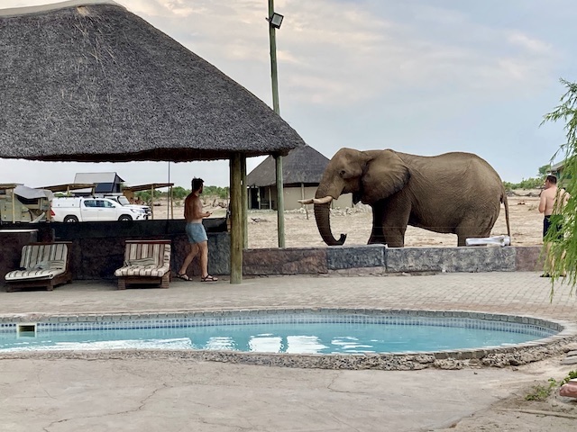 Elephant Sands Lodge, Botswana (Die Bildrechte liegen bei dem Verfasser der Mitteilung.)