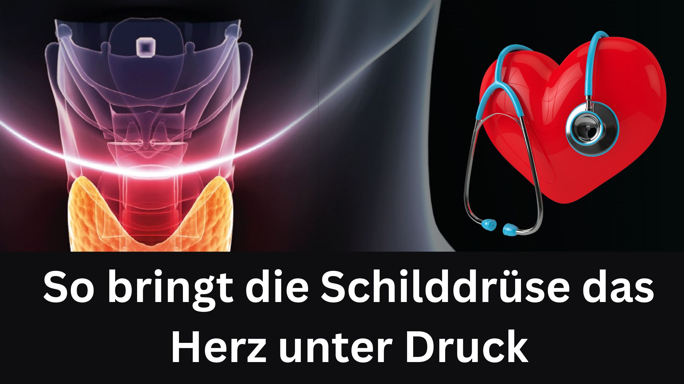 So bringt die Schilddrüse das Herz unter Druck / Redaktion bioresonanz-zukunft.de (Die Bildrechte liegen bei dem Verfasser der Mitteilung.) So bringt die Schilddrüse das Herz unter Druck / Redaktion bioresonanz-zukunft.de (Die Bildrechte liegen bei dem Verfasser der Mitteilung.)