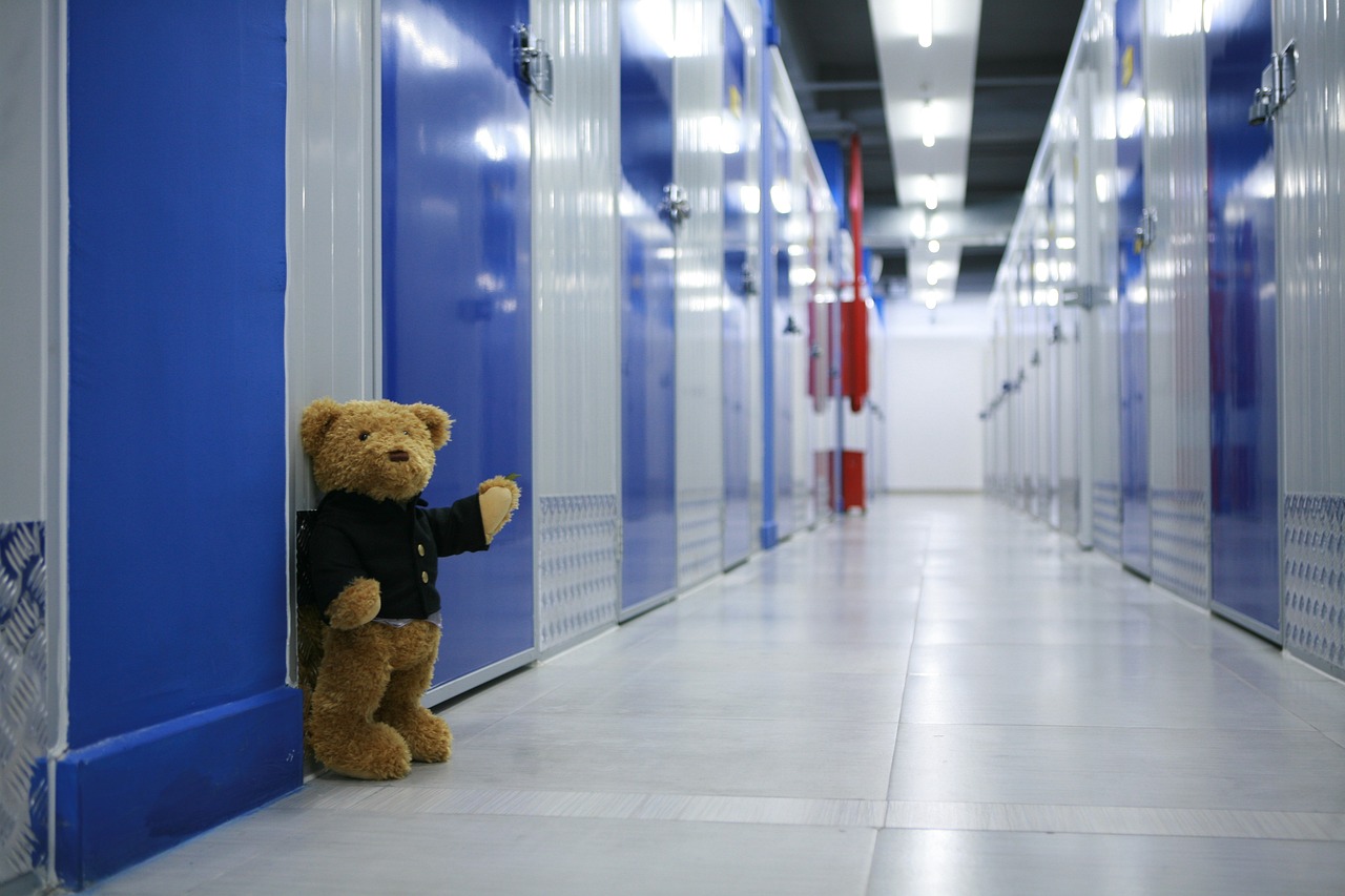 Self Storage