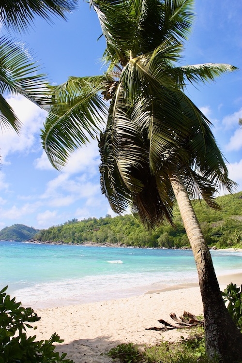 Anse Takamaka auf Mahé(Die Bildrechte liegen bei dem Verfasser der Mitteilung.)