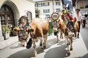 Almabtrieb an den Bauernherbst Festivitäten (c) Florian Bachmeier (Tourismusverband Rauris)