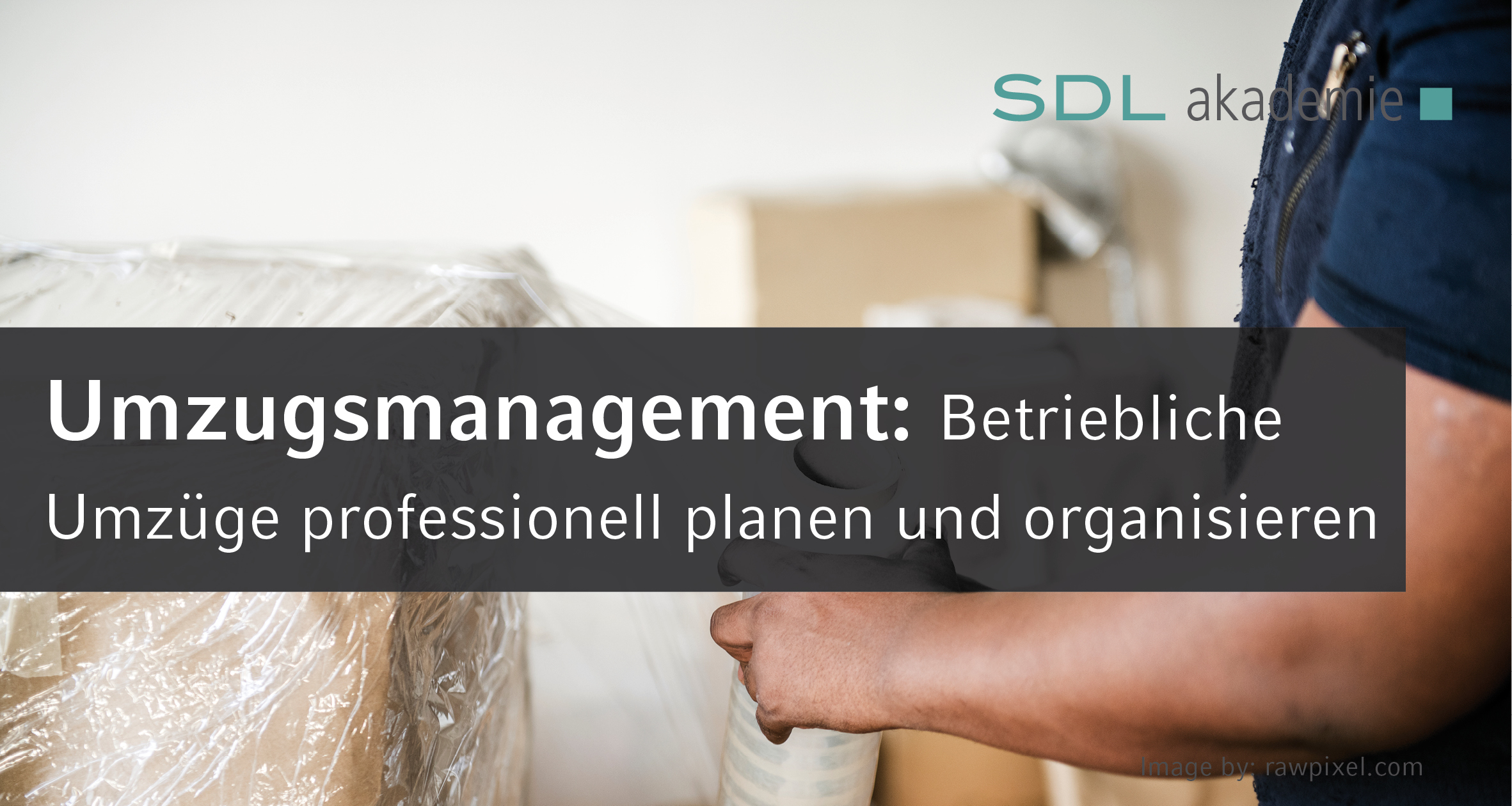 SDL Akademie - Image by rawpixel.com
