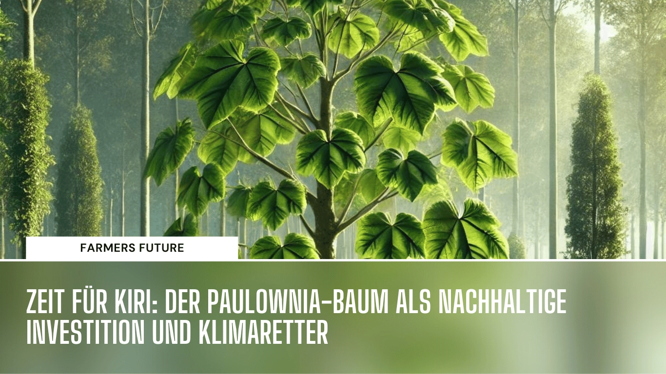 Klimaretter Paulownia - Farmers Future (Die Bildrechte liegen bei dem Verfasser der Mitteilung.)