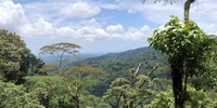 AUF IN DIE WELT: Schüleraustausch in Costa Rica (Stiftung Völkerverständigung)
