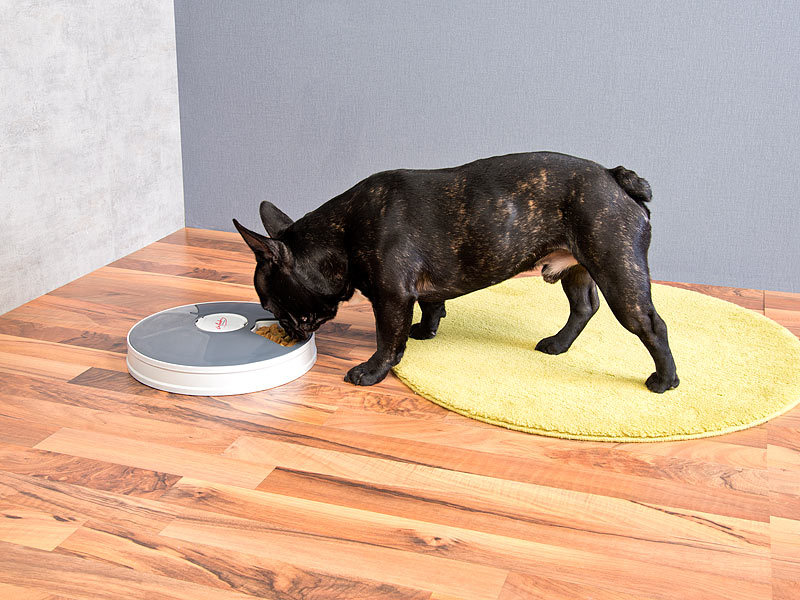 infactory Zeitgesteuerter 6-fach-Katzen-& Hunde- Futterspender (Die Bildrechte liegen bei dem Verfasser der Mitteilung.)