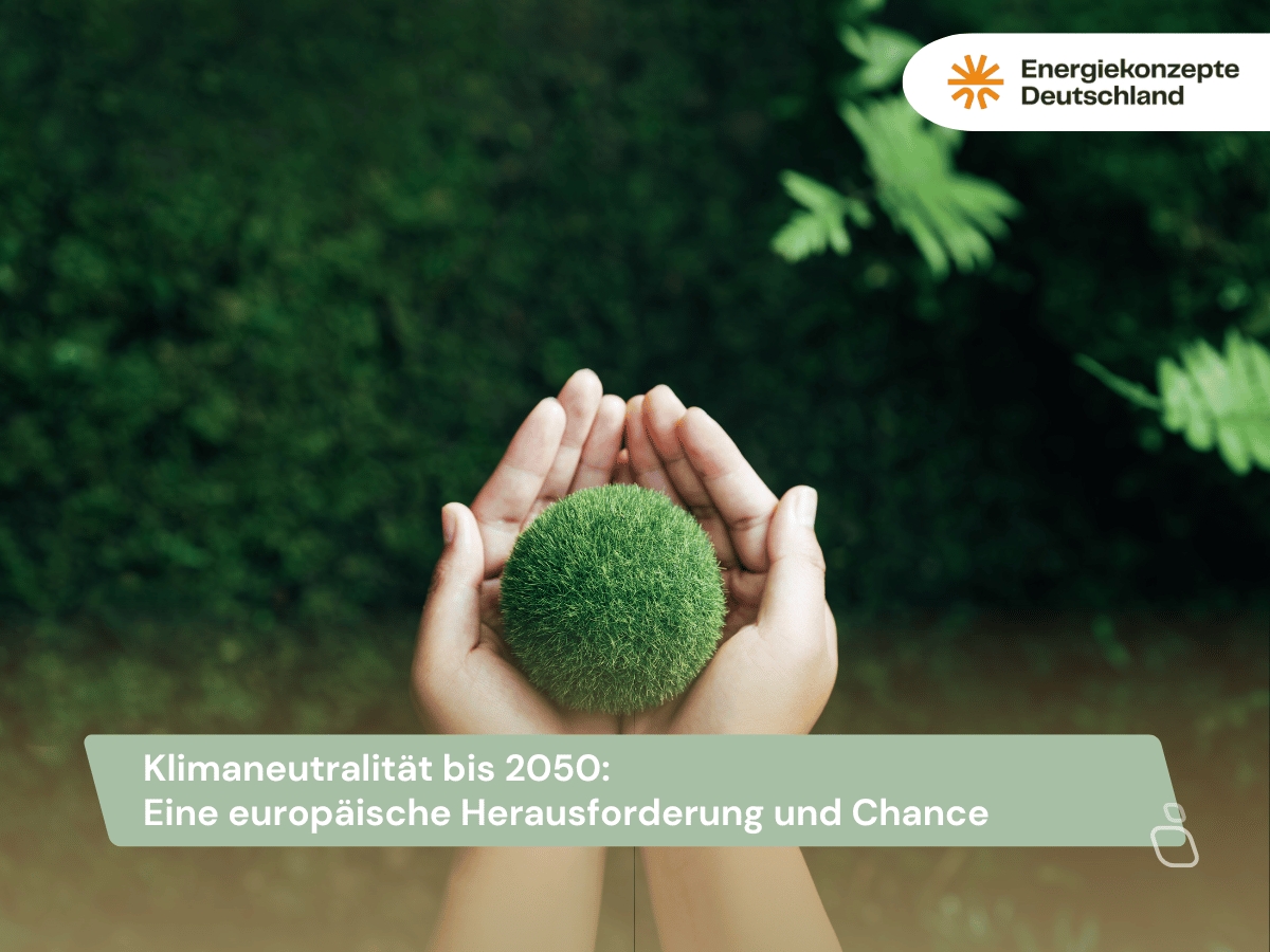 Klimaneutralita?t 2050 - Energiekonzepte Deutschland GmbH (Die Bildrechte liegen bei dem Verfasser der Mitteilung.)