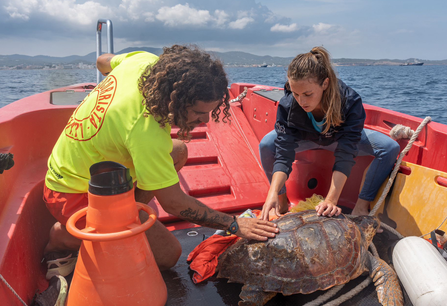 Das Team der Stiftung Palma Aquarium bei einer Rettungsaktion auf See (Bildquelle: Palma Aquarium) Das Team der Stiftung Palma Aquarium bei einer Rettungsaktion auf See (Bildquelle: Palma Aquarium)
