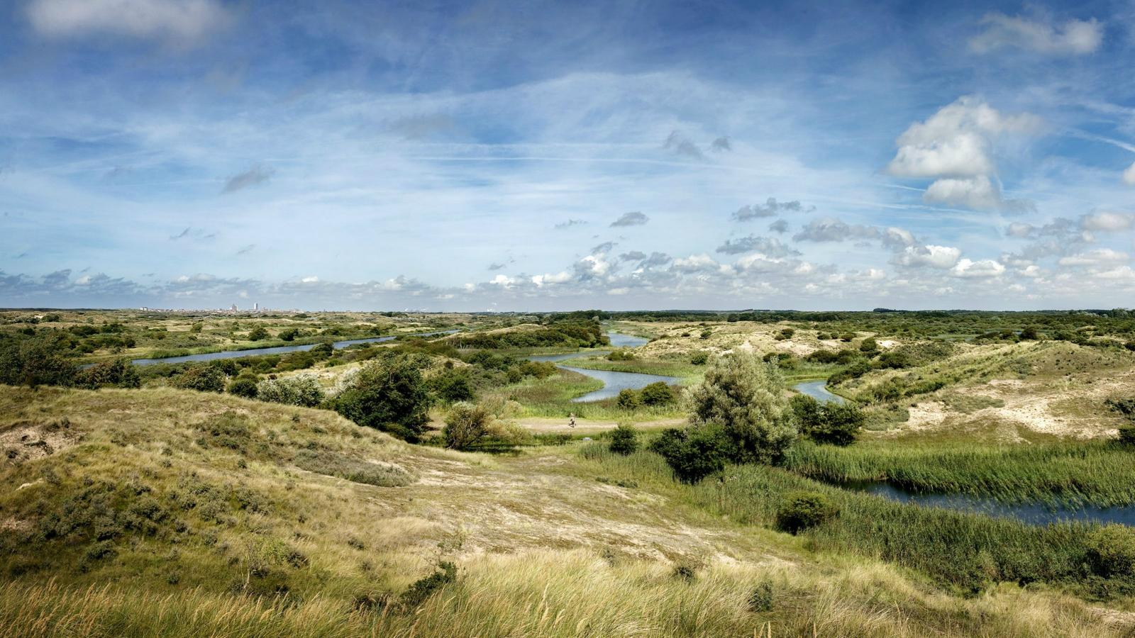 Amsterdamer Wasserversorgungsdünen (© RIWA-Rijn)
