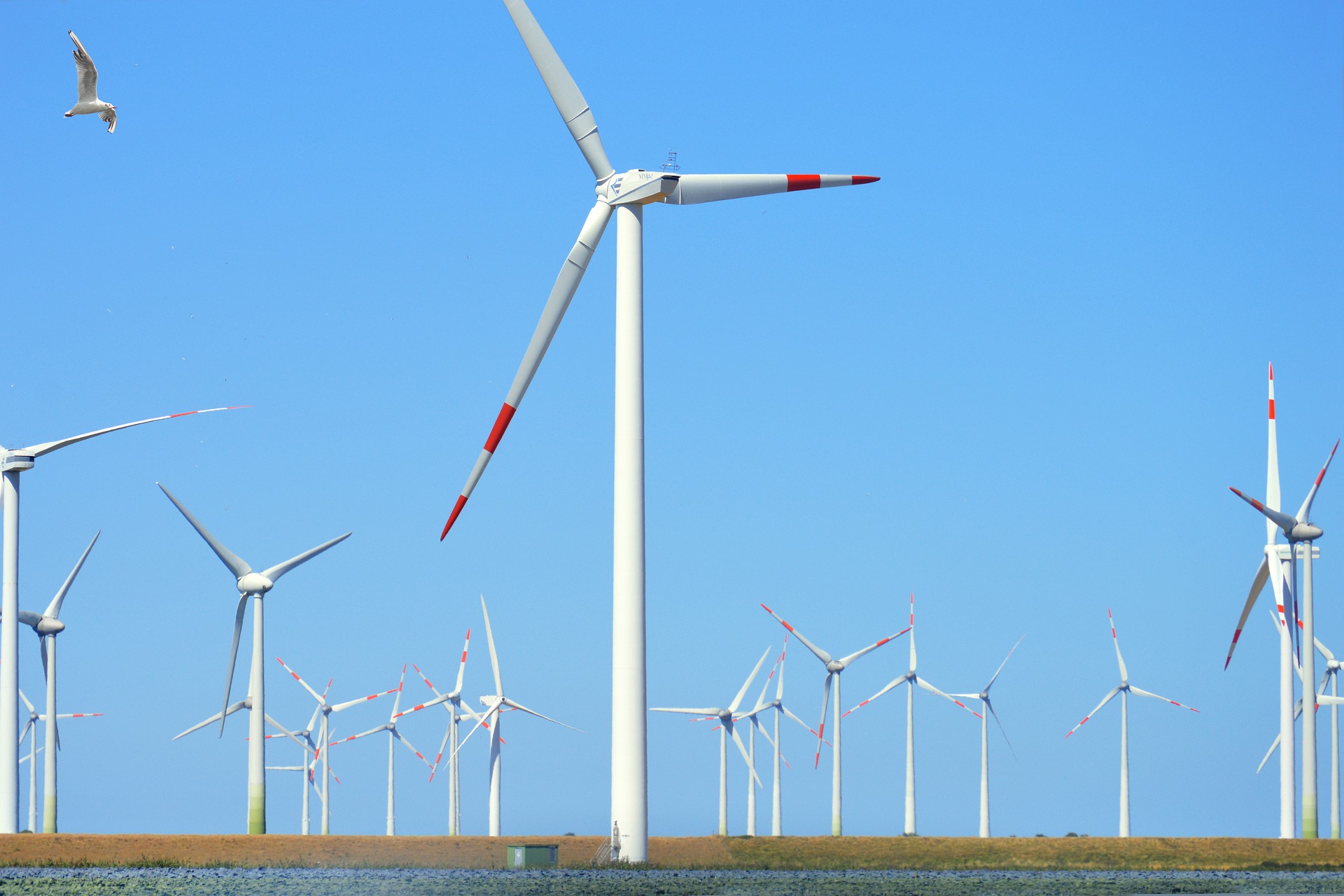 Betreiber von Stromnetzen, Photovoltaik- oder Windparks: Vorteile der Energiespeichersysteme nutzen (Bildquelle: Frauke Riether / Pixabay) Betreiber von Stromnetzen, Photovoltaik- oder Windparks: Vorteile der Energiespeichersysteme nutzen (Bildquelle: Frauke Riether / Pixabay)