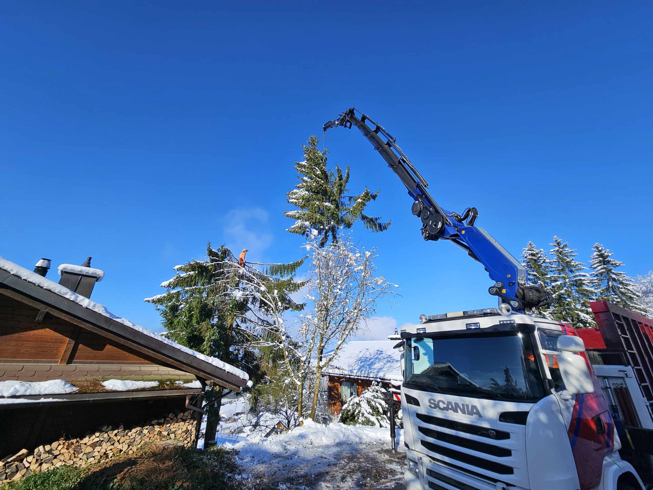 (Bildquelle: @ Jan Müller)