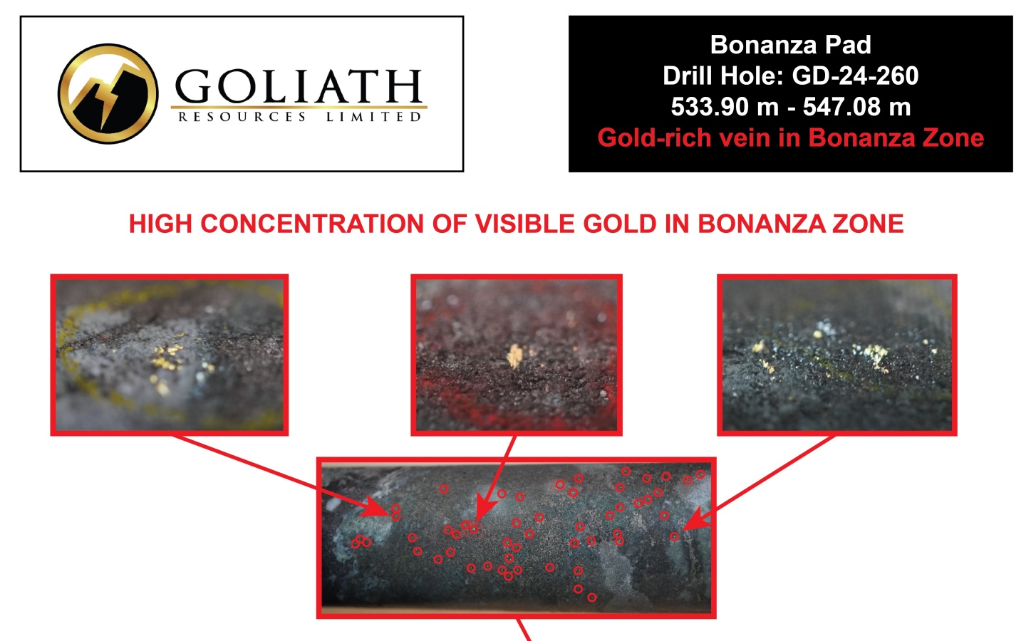 Hohe Konzentration sichtbaren Goldes; Quelle: Goliath Resources