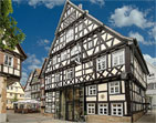 Pfauen in Schorndorf