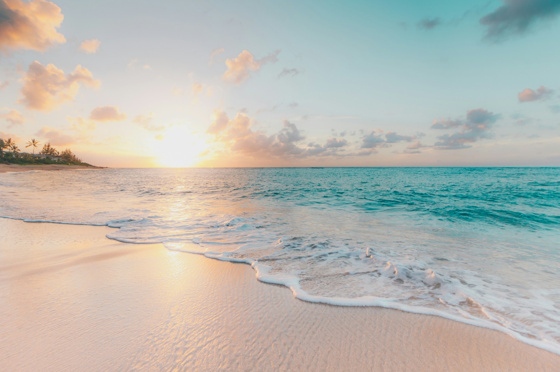 (Bildquelle: Sean Oulashin, Unsplash) (Bildquelle: Sean Oulashin, Unsplash)