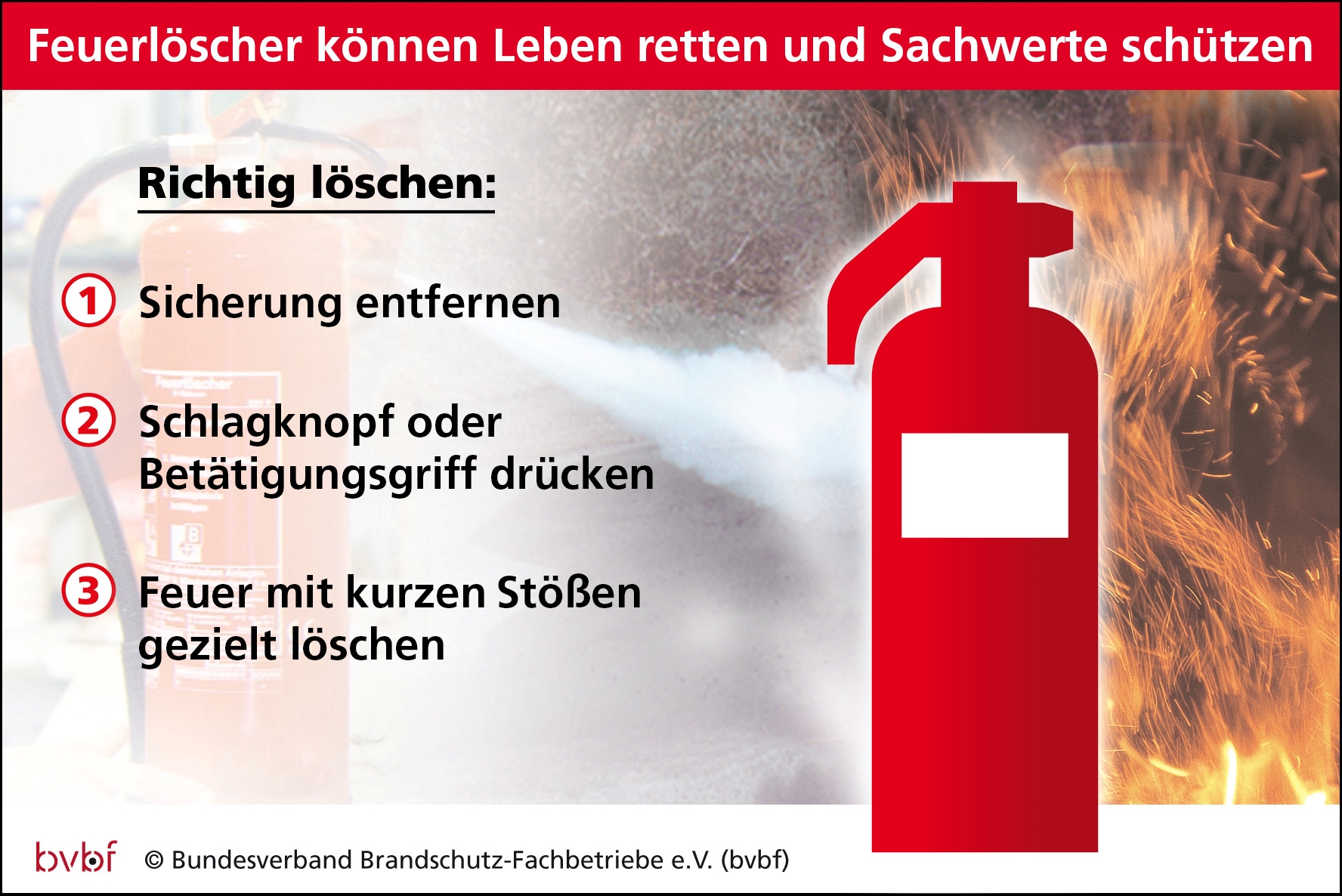 (Die Bildrechte liegen bei dem Verfasser der Mitteilung.) (Die Bildrechte liegen bei dem Verfasser der Mitteilung.)
