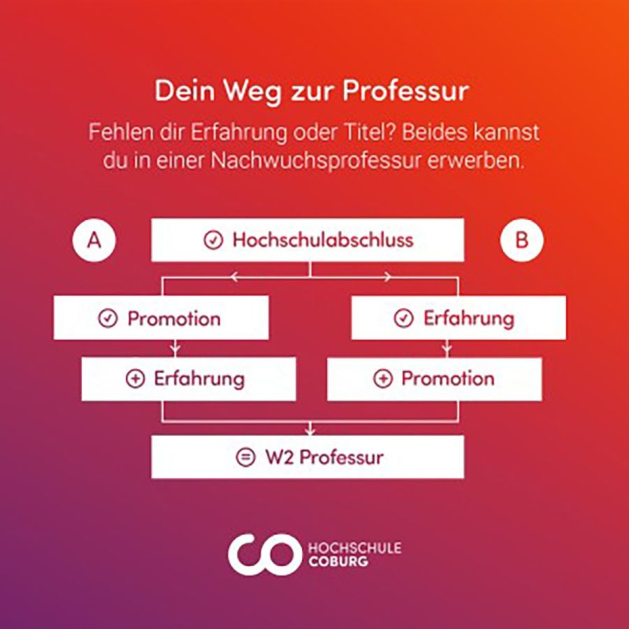 Der Weg zur Professur (© Impetus) Der Weg zur Professur (© Impetus)