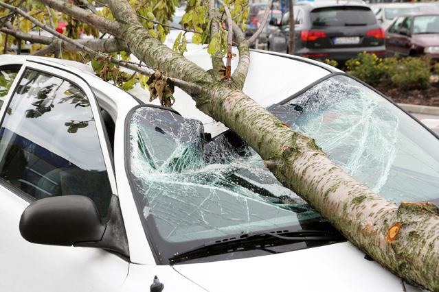 Herbststürme führen häufig zu hohen Schäden an Häusern und Autos. (Bildquelle: ERGO Group) Herbststürme führen häufig zu hohen Schäden an Häusern und Autos. (Bildquelle: ERGO Group)