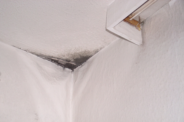 In der kalten Jahreszeit steigt das Risiko für Schimmelbildung in der Wohnung. (Bildquelle: ERGO Group) In der kalten Jahreszeit steigt das Risiko für Schimmelbildung in der Wohnung. (Bildquelle: ERGO Group)