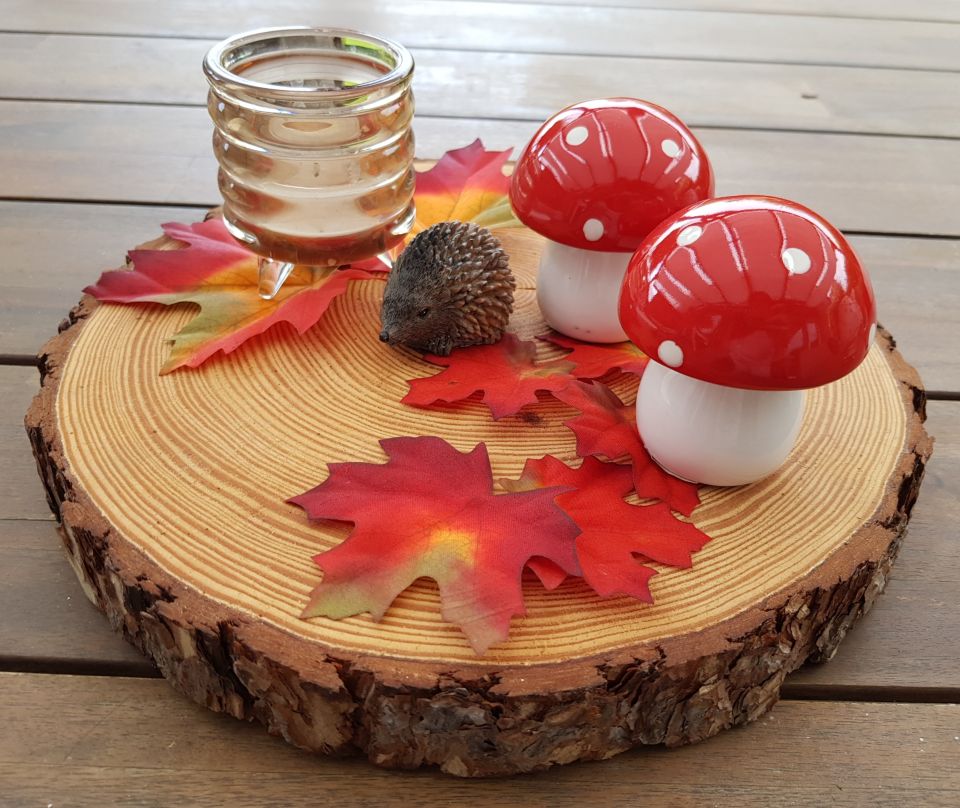 Tischdeko und Wohndeko für den schönen Herbst. Jola Simer, Dorsten, 27.09.24 Tischdeko und Wohndeko für den schönen Herbst. Jola Simer, Dorsten, 27.09.24