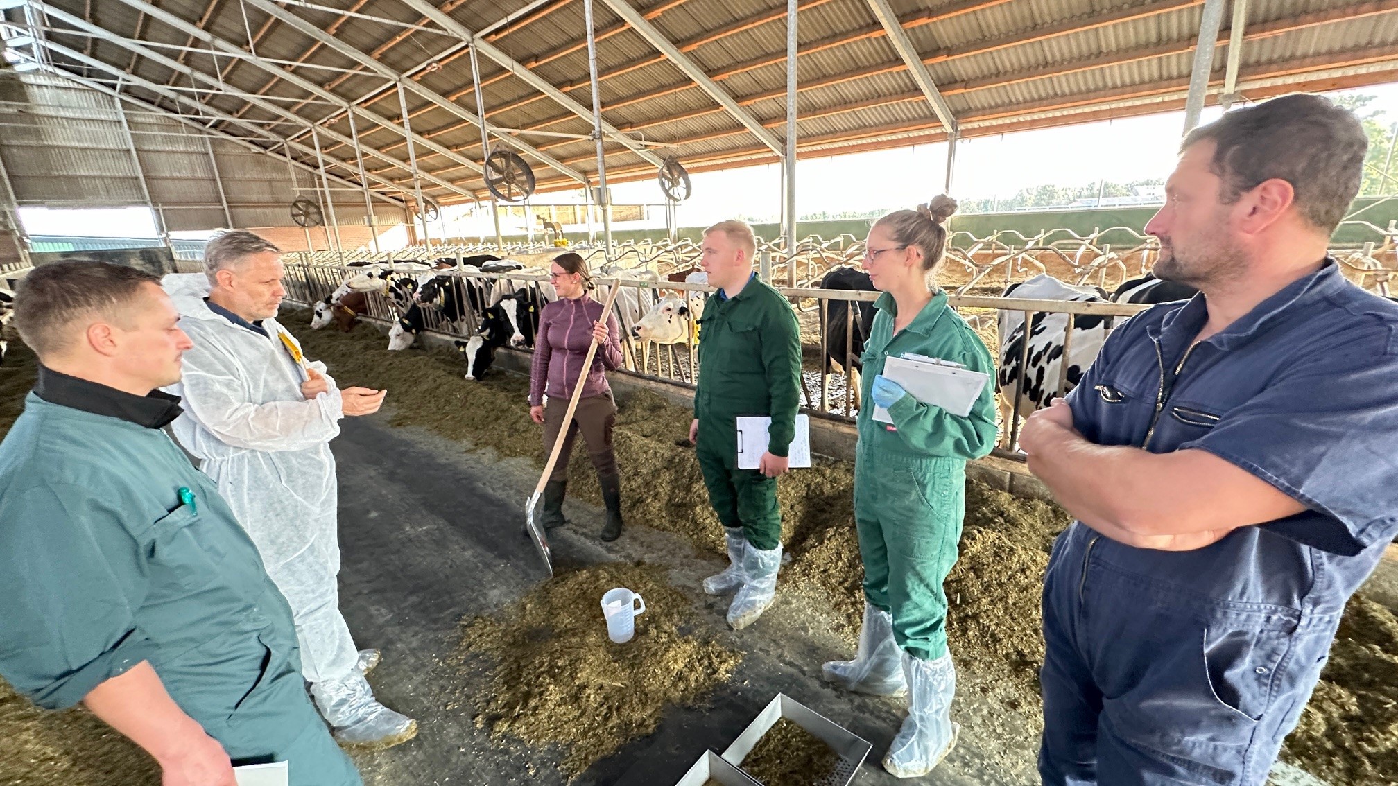 Evaluation der Tiere der Dringenburg-Milchvieh-GbR in Bottrop durch die Teilnehmer Evaluation der Tiere der Dringenburg-Milchvieh-GbR in Bottrop durch die Teilnehmer