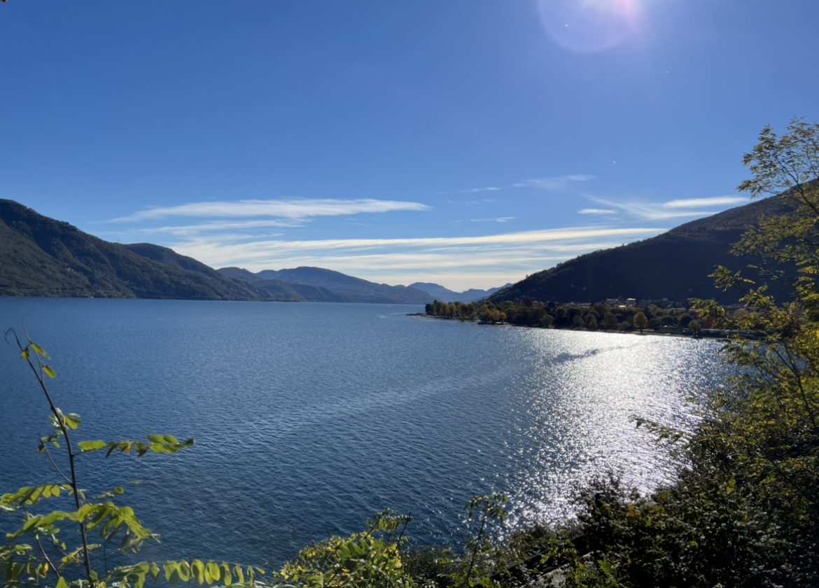 Lakeview pur: Blick auf Cannobio und den Lago Maggiore vom Lakeview Cannobio Camping resort (Die Bildrechte liegen bei dem Verfasser der Mitteilung.) Lakeview pur: Blick auf Cannobio und den Lago Maggiore vom Lakeview Cannobio Camping resort (Die Bildrechte liegen bei dem Verfasser der Mitteilung.)