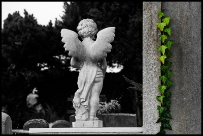 Sterbegeldversicherung - was alles zum seriösen Umgang gehört Sterbegeldversicherung - was alles zum seriösen Umgang gehört