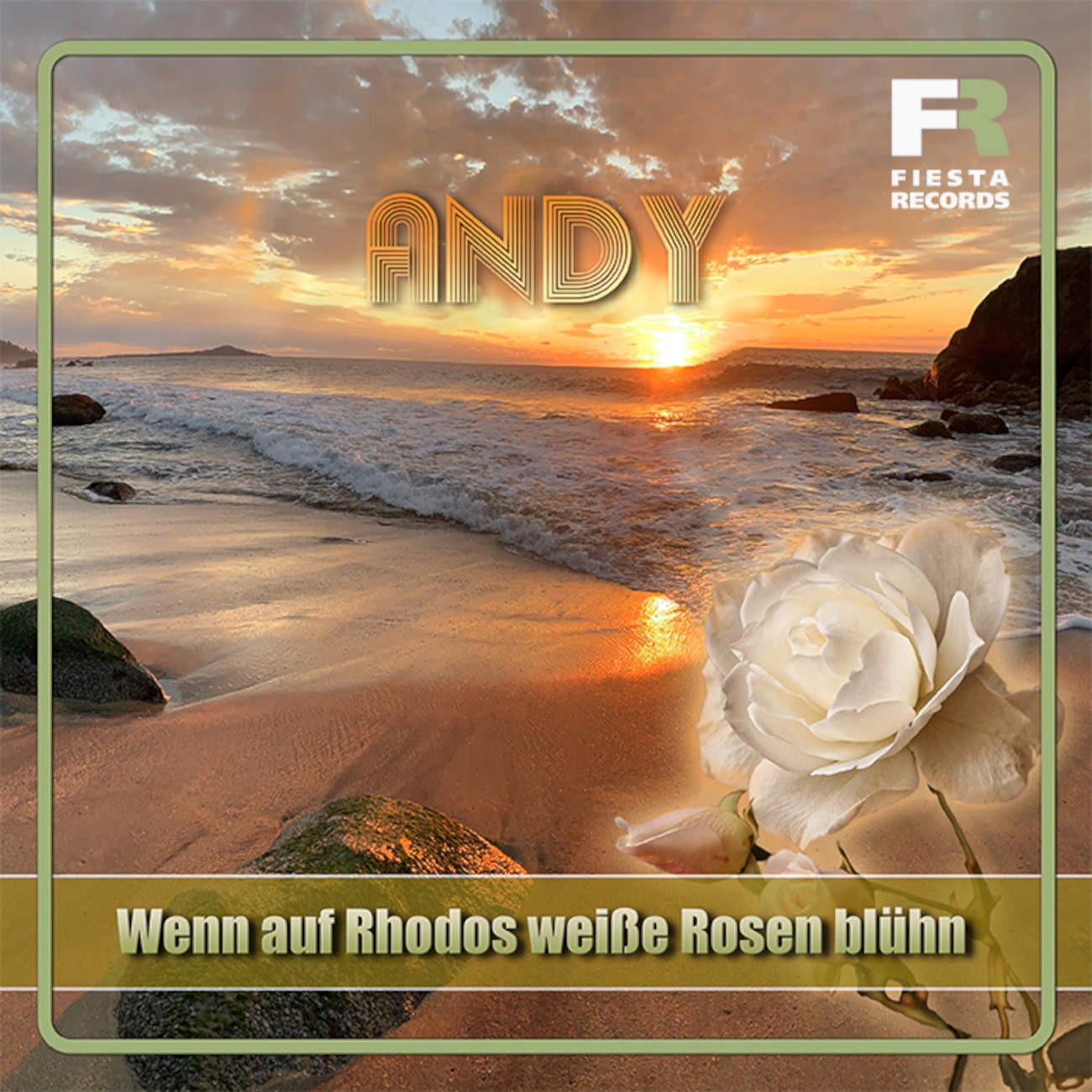Andy Andy